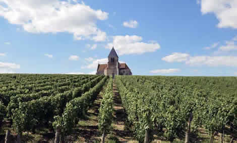 Church in vineyards