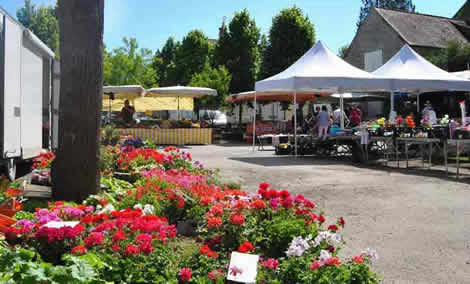 Flower market stall